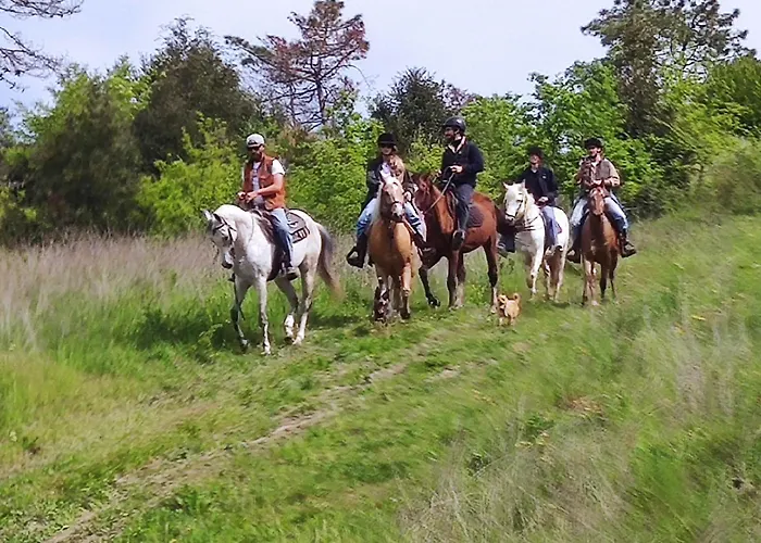 ゲストハウス Residenza D'epoca Cavaliere - Romantic ビッボーナ