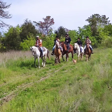 Pensión Residenza D'epoca Cavaliere - Romantic Bibbona