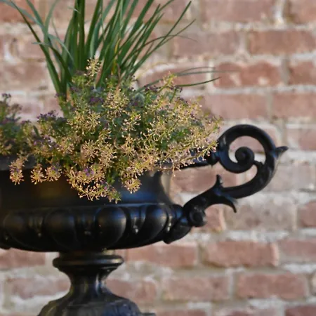 Residenza D'epoca Cavaliere - Romantic