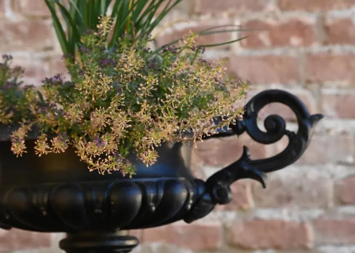 Residenza D'epoca Cavaliere - Romantic